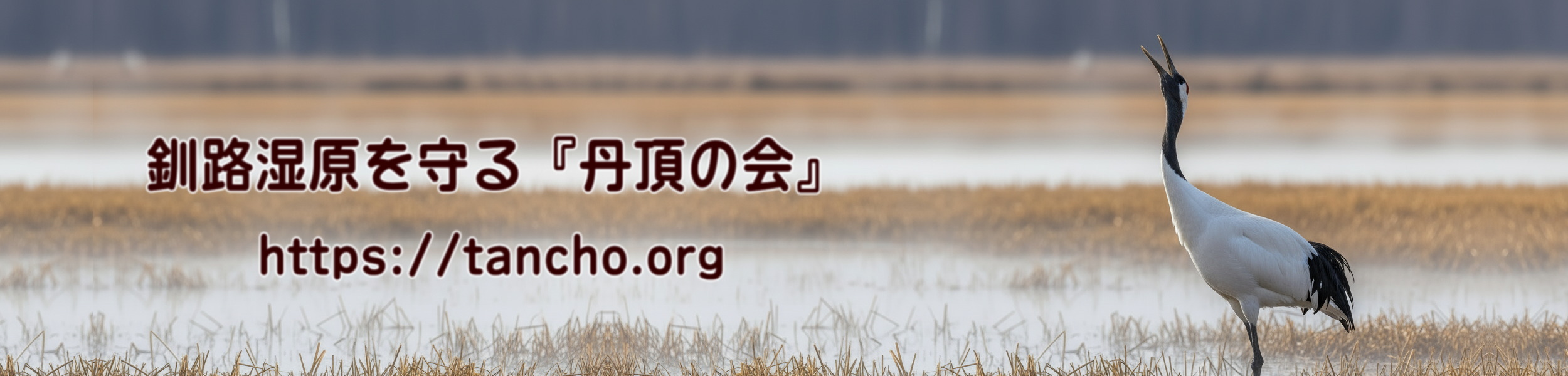 丹頂の会・イメージキャラクター、ゲンくん＆タンたん